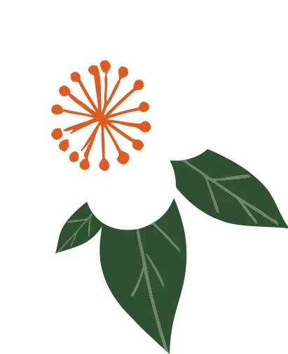 fleur ojala